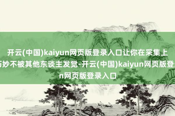 开云(中国)kaiyun网页版登录入口让你在采集上的小巧妙不被其他东谈主发觉-开云(中国)kaiyun网页版登录入口