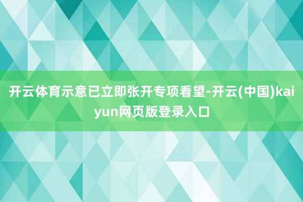 开云体育示意已立即张开专项看望-开云(中国)kaiyun网页版登录入口