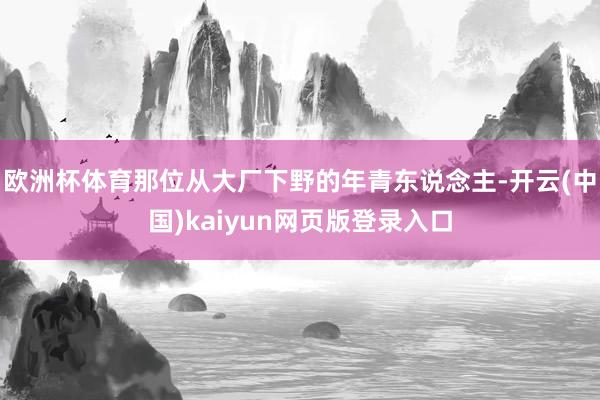 欧洲杯体育那位从大厂下野的年青东说念主-开云(中国)kaiyun网页版登录入口