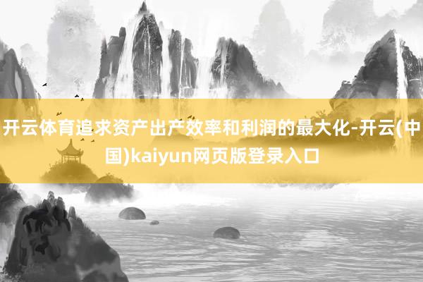 开云体育追求资产出产效率和利润的最大化-开云(中国)kaiyun网页版登录入口